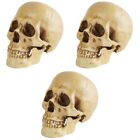 Set Of 3 Resin Skull Model Simulation Decoration Terrible Models