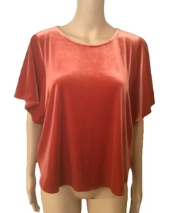 Madewell Blouse Velvet Texture Women’s Forest Orange Top Sz L - Picture 1 of 7