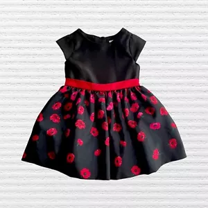 New Gymboree Baby Girls Dupion Silk Special Occasion Dress Black Red Size 12-18M - Picture 1 of 12