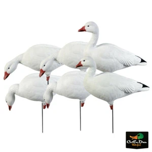 AVERY GHG PRO GRADE SNOW GOOSE FULL BODY DECOYS HARVESTER PACK - Picture 1 of 1