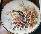 Royal Vale Green Heron with Fish in swampland  Bone China Plate England Signed