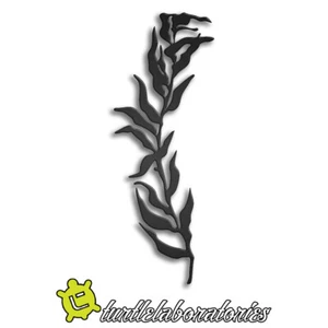 Kelp #1 Metal Wall Art Hanging Home Decor Fishing Fly - Bild 1 von 1