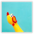 2 x Square Stickers 10 cm - Squeaky Chicken Funny Face Cool Gift #2807