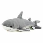 Real stuffed great white shark S size