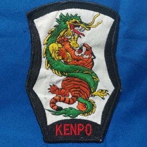 Parche de uniforme de artes marciales Dragon & Tiger Kenpo parche coser parche - Imagen 1 de 4