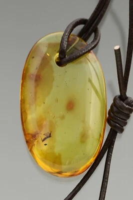 GNAT & COLLEMBOLA Genuine BALTIC AMBER Adjustable String Pendant 4.6g 190919-4 — 第 1/4 张图片