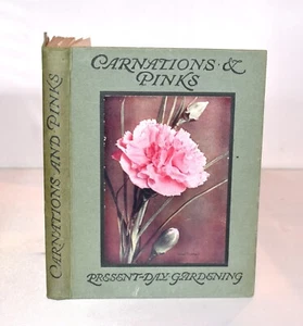 Nelken & Rosa. edwardianisch. Illustriert. 8 Farbtafeln Antik Natur Buch - Bild 1 von 11
