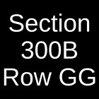 2 Tickets Maggie Rogers 6/9/24 Sterling Heights, MI