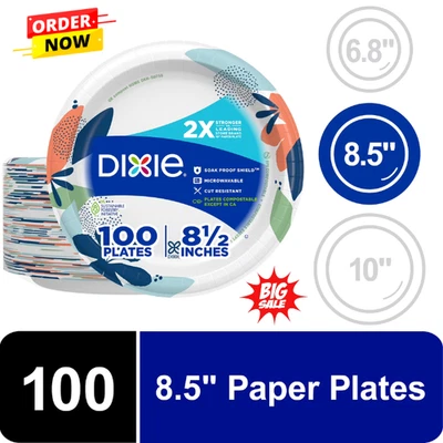 DIXIE ELECTRIC Dixie Everyday Disposable Paper Plates, 8.5", Multi-Color, 100 Count