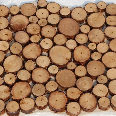 100pcs Natural Pine Wood Slices Round Disc Tree Bark Circ Craft Nice Chips N7B9 - Image 1 of 4