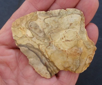 2 3/4 英寸巧克力旋转美女佐治亚州佛罗里达箭头 ~124 ~ — 第 1/3 张图片