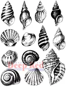 Deep Red Stamps Seashell Collection Rubber Cling Stamp - Picture 1 of 3