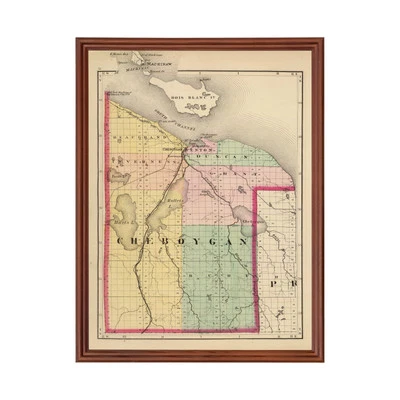Old Map of Cheboygan County, MI 1873 - Vintage Michigan Art - Image 1 of 4