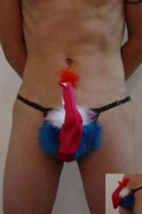 Dear-lover 7428 Sexy Herren Pfauen Panty - Picture 1 of 1