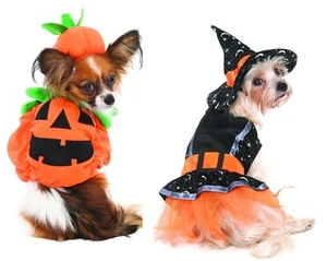 Halloween Pumpkin or Witch Costume for Dogs - XS - S - M - Trick or Treat - Picture 1 of 5