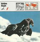 1975 Editions Rencontre, Animals Card, #20.464 Golden Eagle