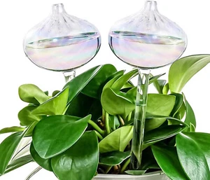 2pcs Plant Watering Globes Decorative Glass Self Watering Planter Insert Cons... - Picture 1 of 7