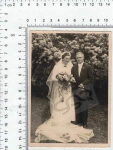 Altes Hochzeitfoto Postkarte Ansichtskarte gefertigt in Guben - Bild 1 von 2