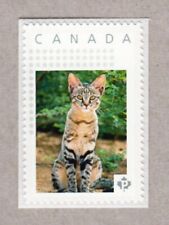 AFRICAN WILD CAT = Picture Postage Stamp MNH Canada 2016 [p16/03sw2/2]