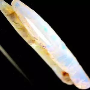 72 quilates rara tubería australiana de belemnita ópalo fósil coleccionistas adorno espécimen gema - Imagen 1 de 10