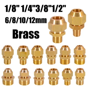1/8" - 1/2" Flared Fittings Brass Connector Fitting Air Fitting With Nuts 6-12mm - Picture 1 of 23