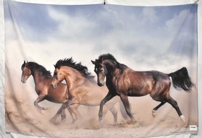 Pottery Barn 青少年 FLAW 阅读牧马人 Repreve 挂毯 壁画 挂马 — 第 1/4 张图片