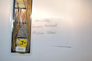 Whiting Saddle fly tying hackle feathers - Picture 1 of 13