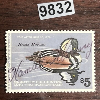 1979 Migratory Bird Hunting & Conservation Stamp Hooded Merganser X9832 Torn - Image 1 of 4
