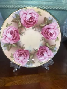 AYNSLEY HUESO CHINA ROSA REPOLLO ROSA PATRÓN PLATILLO SOLO MUY RARO - Imagen 1 de 5