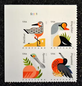 2015USA #4991-4994 Postcard Rate Coastal Birds Plate Block of 4 Mint From Sheet - Picture 1 of 4