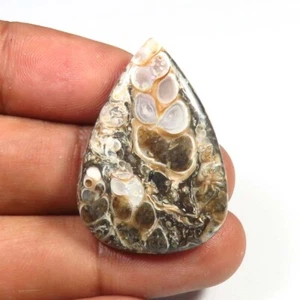 Naturel Turtella Pierre Précieuse 32x22x5mm Marron Poire Cabochon 25cts TU-87 - Afbeelding 1 van 9