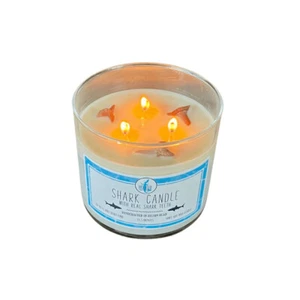 Shark Candle with Real Shark Teeth - Shark Tooth Candle - Picture 1 of 6