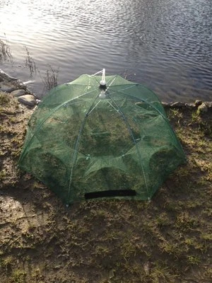 49,köderfischsenke,Reuse,Köderfischreuse,Senke klappbar,Klappsenke,mit 8Eingänge - Bild 1 von 4