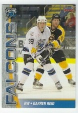 2005-06 Springfield Falcons (AHL) Darren Reid