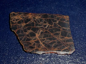 Spiderman Jaspis Platte -- 2 3/4" x 1 7/8" grob, Cabbing - Display, Wissenschaft - Bild 1 von 3