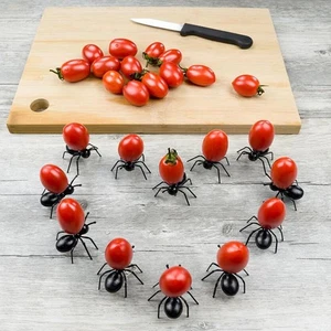 12 Pieces Worker Fruit Fork Snack Cake Dessert Serving Forks 12pcs - Picture 1 of 7