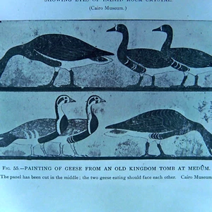 c.1900s Glass Plate Negative "Geese Egypt" Painting from Tomb at Medum 4x5 - Picture 1 of 6