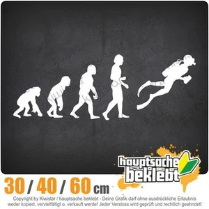 Evolution subacqueo snorkeling chf0774 in 3 misure adesivo lunotto JDM - Foto 1 di 1