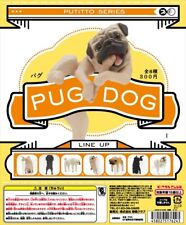 Kitan Club PUTITTO Series Pug Dog パグ Completed Set 8pcs