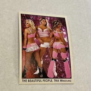 2010 TRISTAR TNA Obak SP National Convention CARD #N10 Velvet Sky Madison Rayne - Picture 1 of 3