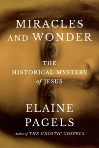 Miracles and Wonder: The Historical Mystery of Jesus by Elaine Pagels Hardcover  - Bild 1 von 1