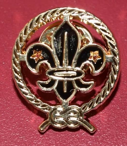PIN SCOUTS CON FLOR DE LIS MUNDIAL, DORADO # 1561 - Imagen 1 de 2