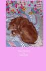 Rusty's New Home: A Canine Adventure By Susan Gremel (English) Paperback Book