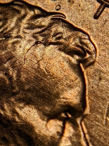 2010 Lincoln Shield Cent Interior Die Break w/Chips Obverse Die Breaks Reverse Cover