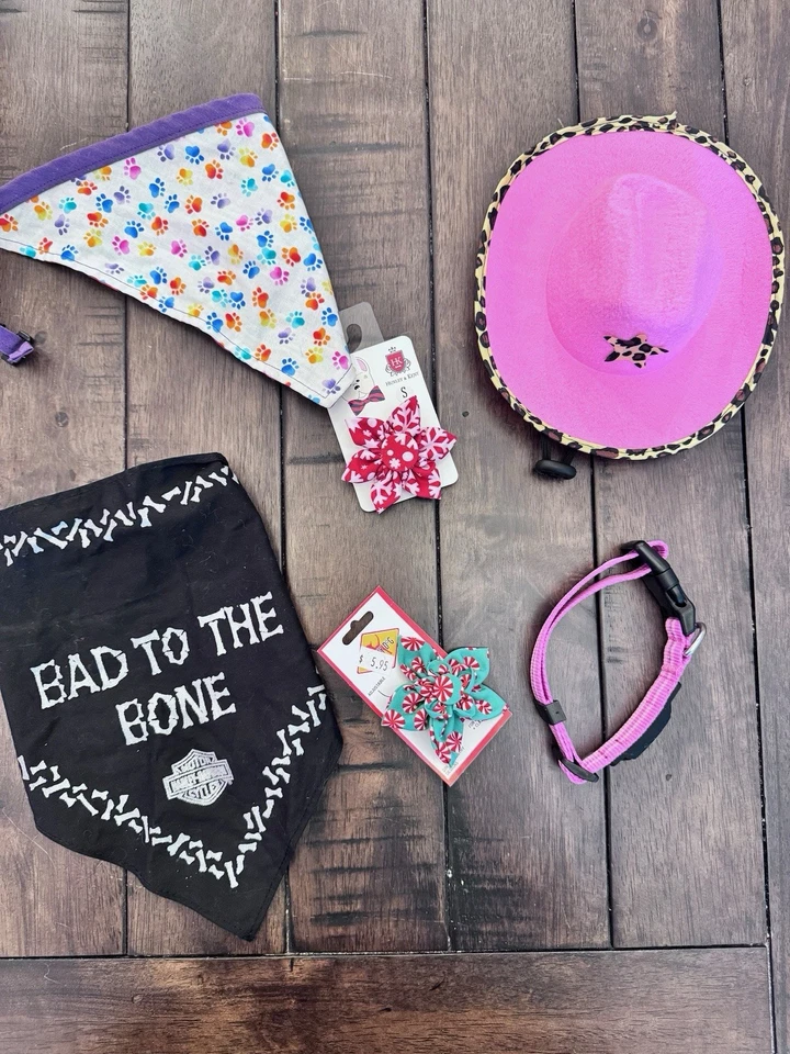 Ropa para Perros Disfraces Collares Vaquero Navidad Arco Iris Sombrero Accesorios Pequeño Foto 1 de 4