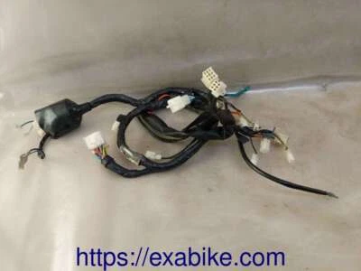 power harness for Sym 125 Wolf from 2013 to 2017 - Image 1 of 3