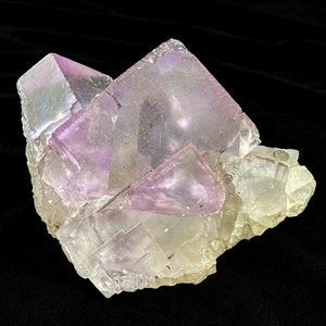 Lila Fluorit Cluster - große Kubikkristalle auf Matrix - Ausstellungspräparat - Bild 1 von 11