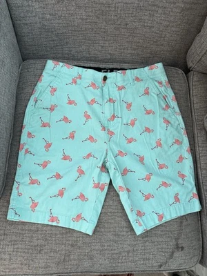 Plugg Flex Shorts Men 32 (measure 34) Aqua Pink Flamingo 9.5" Inseam - Image 1 of 4