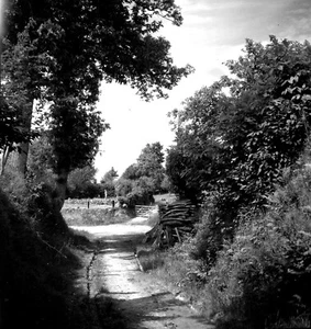 Paysage rural chemin creux champs - ancien négatif photo an. 1950 - Picture 1 of 1