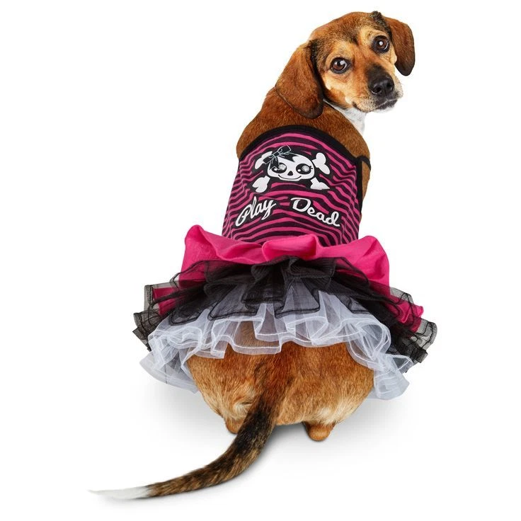 Petco Bootique "Play Dead" Calavera Huesos Cruzados Perro Vestido Halloween XXS XS M L Foto 1 de 4
